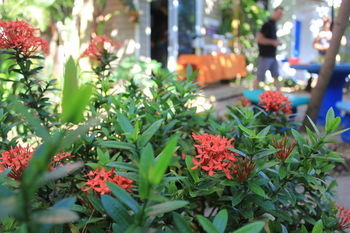 Jaco Lodge Quiet Hotel Bagian luar foto